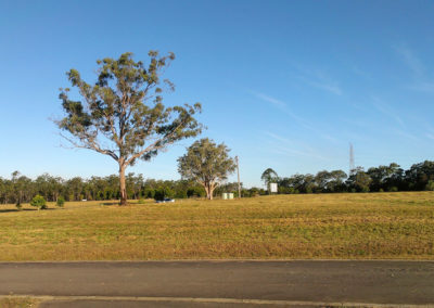 Timbers Reserve after slashing